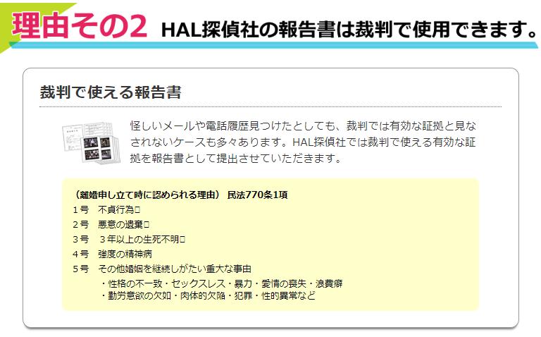 HAL探偵社　報告書