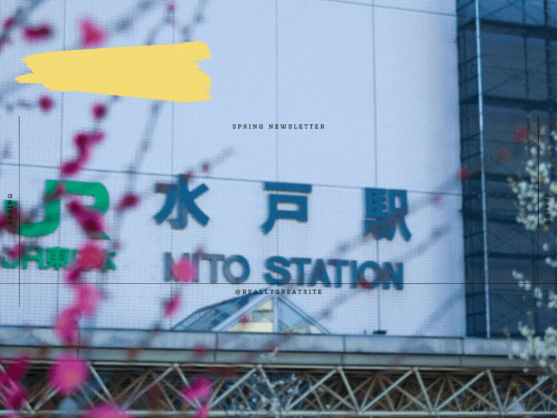 ベース【2023年版】茨城県で浮気調査の無料相談ができるおすすめ探偵事務所・興信所：実績豊富な探偵社の選び方