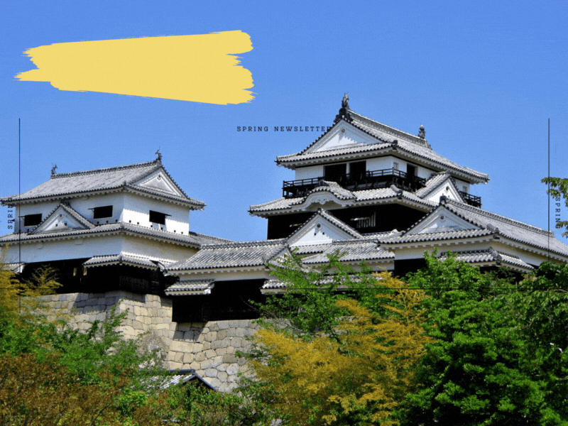 【2023年版】愛媛県で浮気調査の無料相談ができるおすすめ探偵事務所・興信所：実績豊富な探偵社の選び方