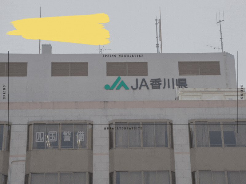 【2023年版】香川県で浮気調査の無料相談ができるおすすめ探偵事務所・興信所：実績豊富な探偵社の選び方