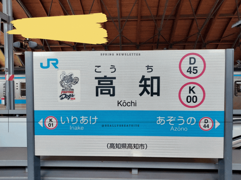 【2023年版】高知県で浮気調査の無料相談ができるおすすめ探偵事務所・興信所：実績豊富な探偵社の選び方