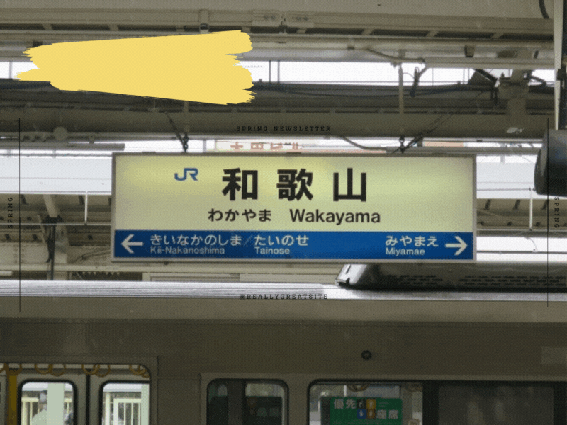 【2023年版】和歌山県で浮気調査の無料相談ができるおすすめ探偵事務所・興信所：実績豊富な探偵社の選び方